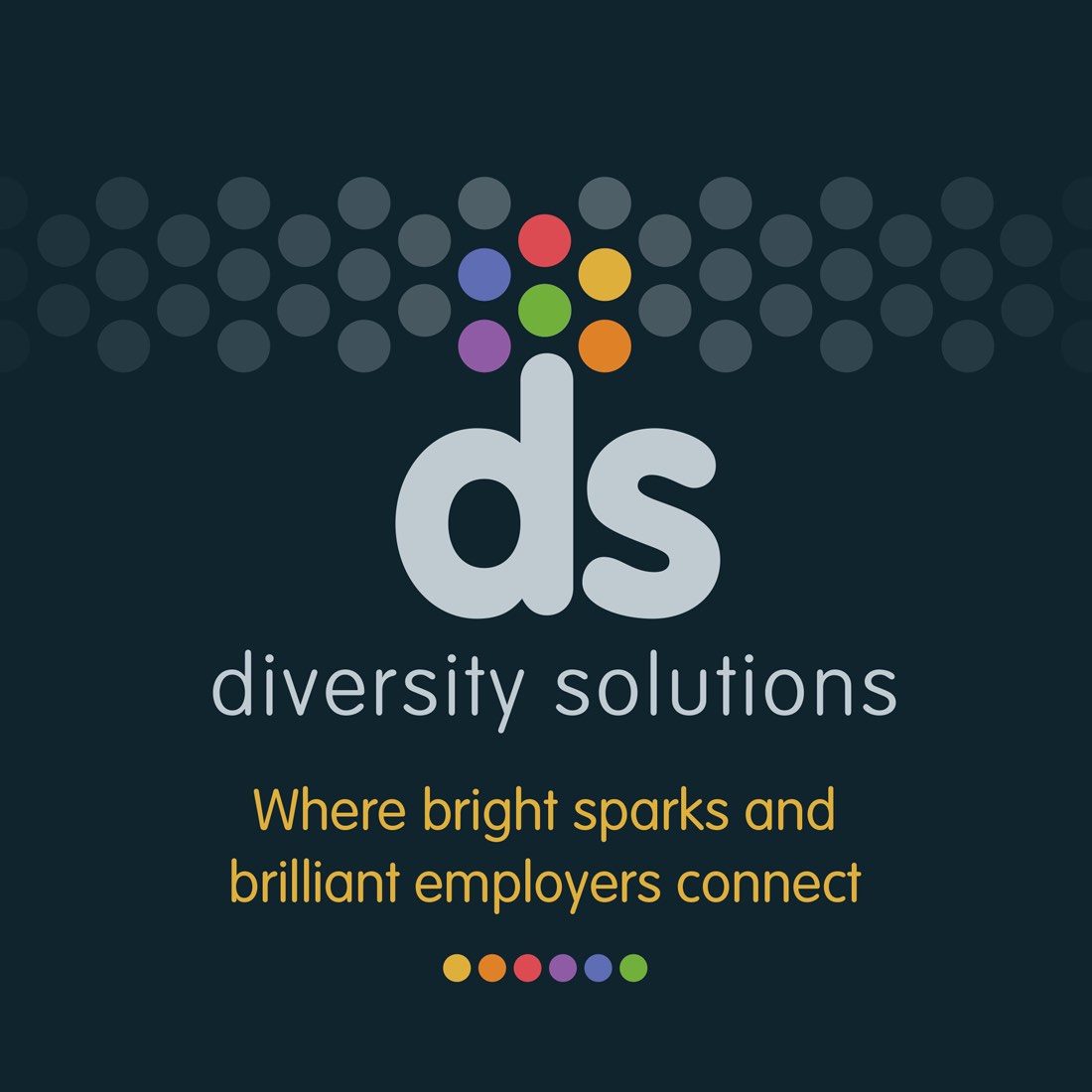 diversitysolutions